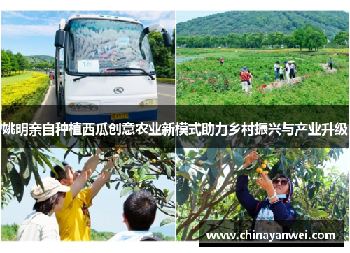 姚明亲自种植西瓜创意农业新模式助力乡村振兴与产业升级
