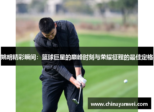 姚明精彩瞬间：篮球巨星的巅峰时刻与荣耀征程的最佳定格