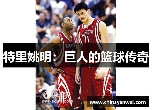 特里姚明：巨人的篮球传奇