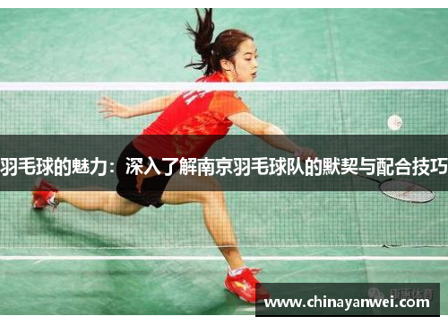 羽毛球的魅力：深入了解南京羽毛球队的默契与配合技巧